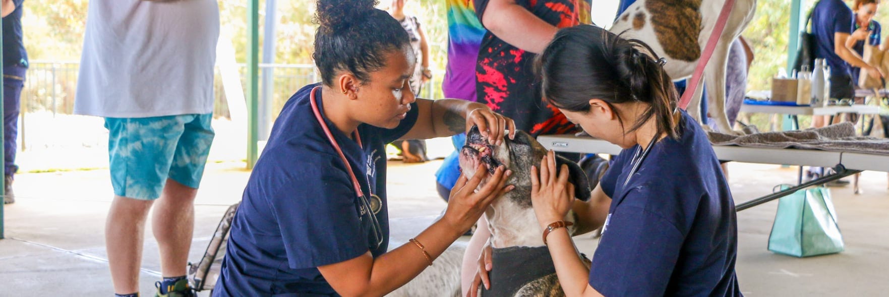 Free food and dog health checks in Ellenbrook