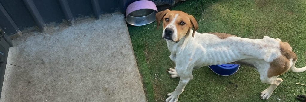 Without you, Marnie's story could have ended very differently