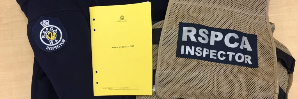 RSPCA WA appalled by spate of dog beating cases