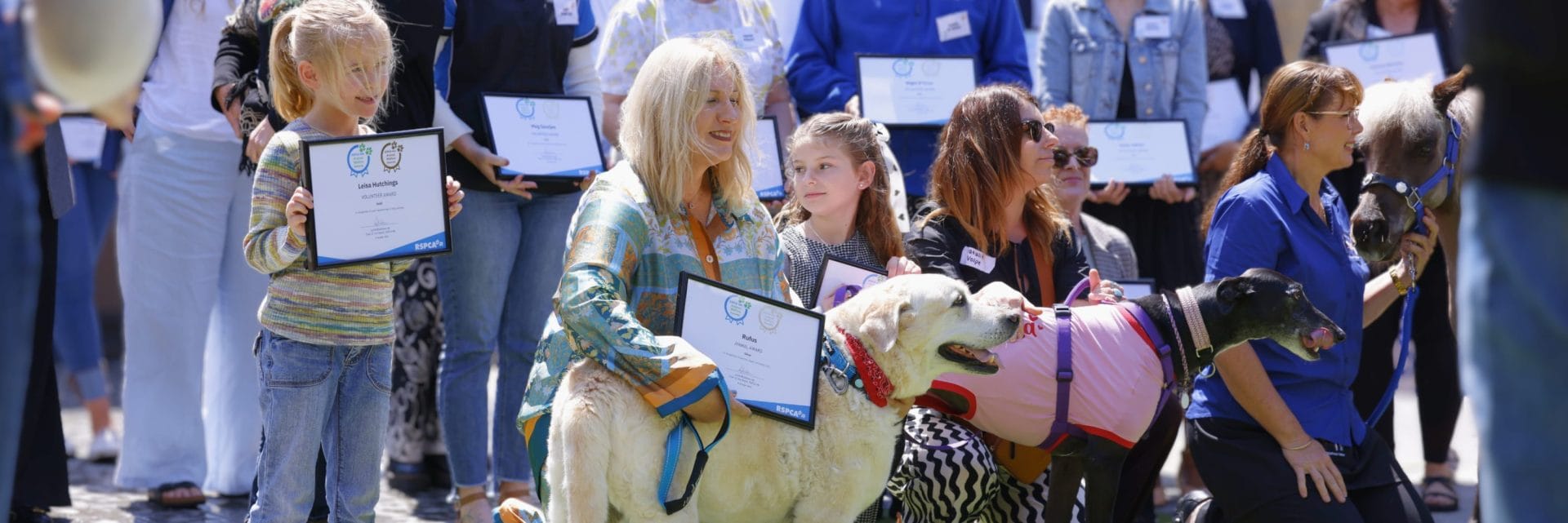 Nominations now open for WA's top animal awards