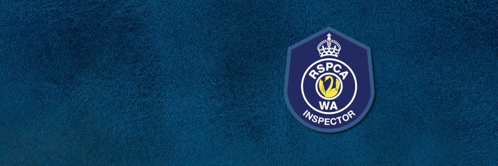 Charges laid - blue header with RSPCA WA inspector badge