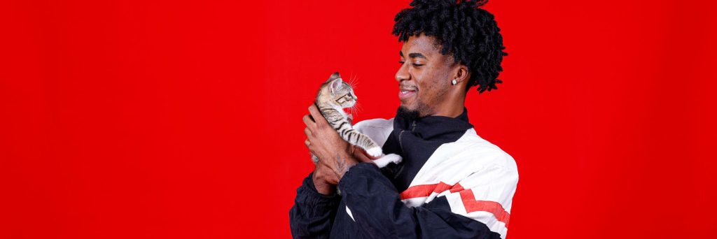 Basketballers go wild for cats