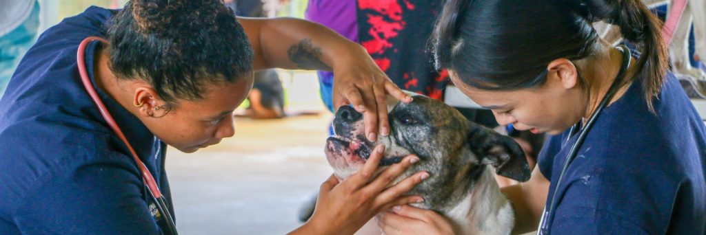 Free supplies, health checks, and advice for Mandurah pet owners