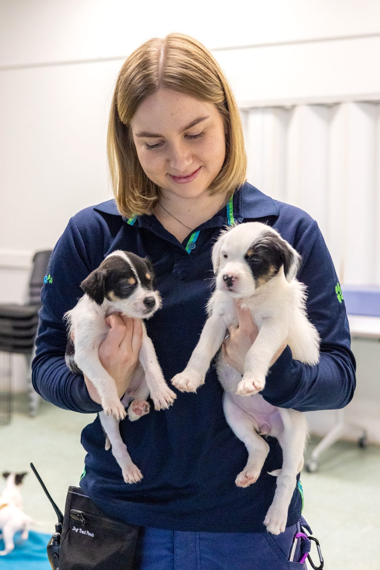 Young lady holding two black and white puppies