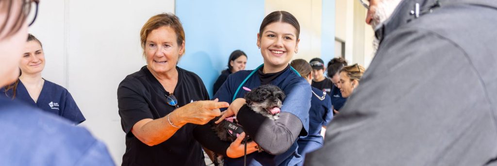 Free pet food and dog health checks in Beaconsfield