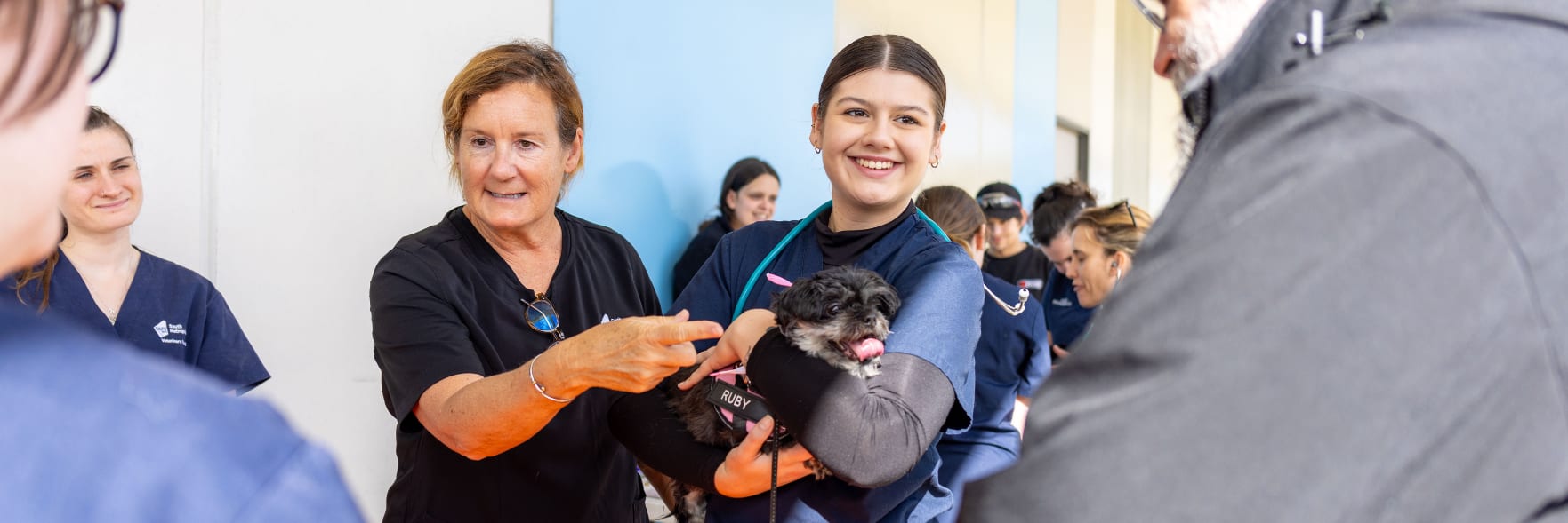 Free pet food and dog health checks in Beaconsfield