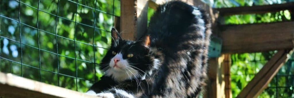 Plea for pet owners after wildlife found dead in Busselton