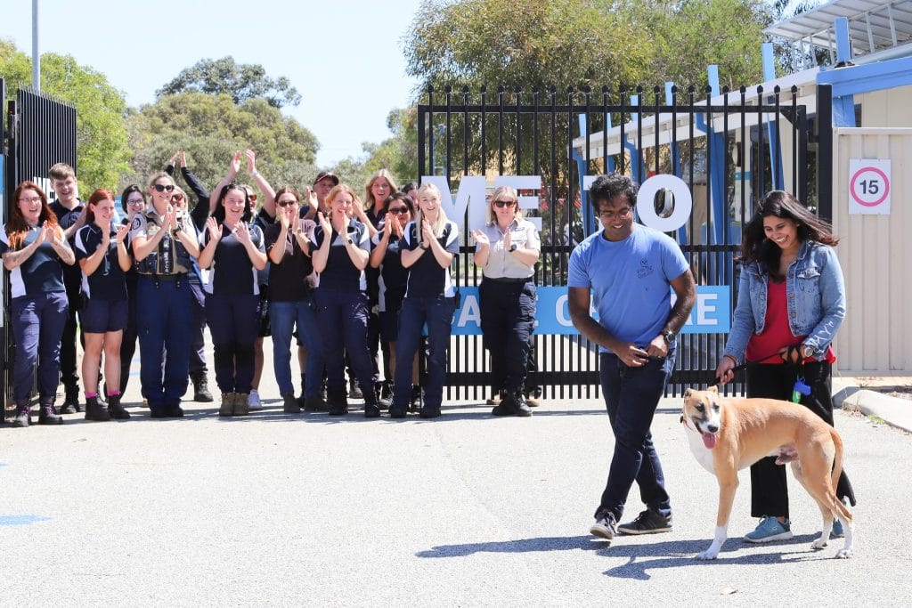 Dog getting adopted at RSPCA WA