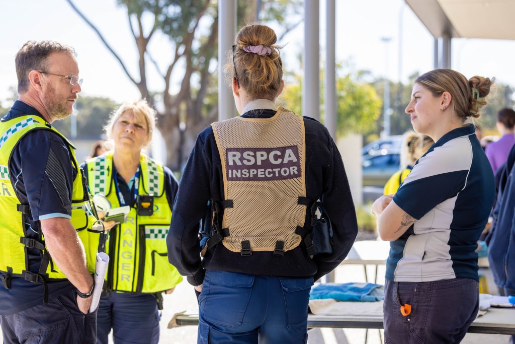 Inspectors & rangers at CAD