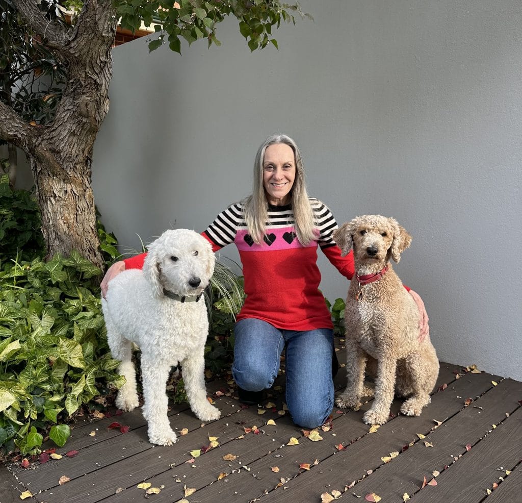 Dogs with foster mum