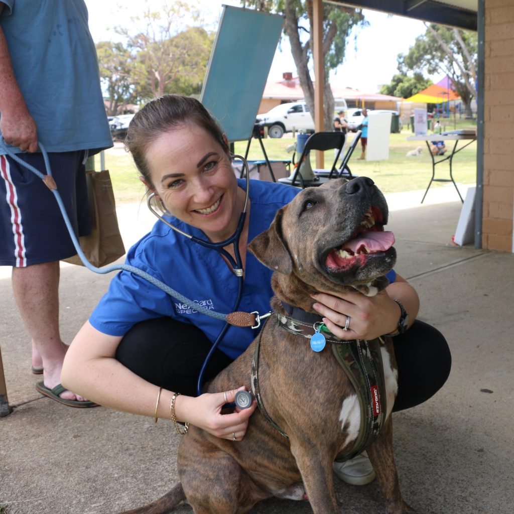 Vet at Community Action Day