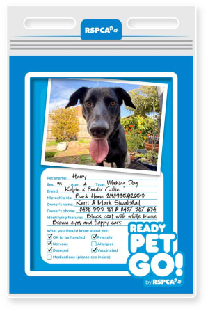 Ready Pet GO! Emergency Pack for Dogs