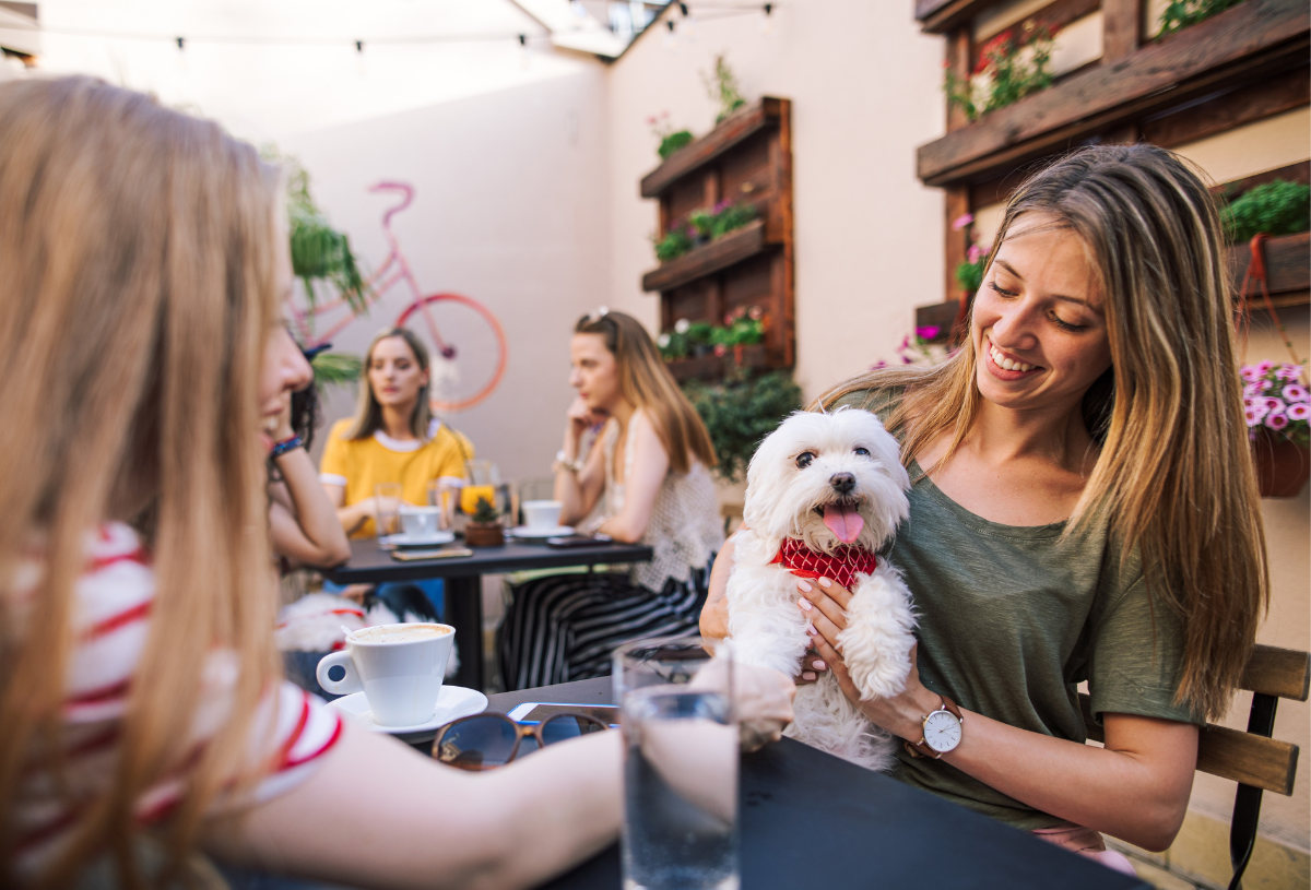 Woman at cafe with friends with a small white fluffy dog on her lap