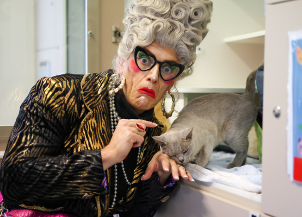 Ambassador Nanna Bingo headshot with cat at RSPCA WA cat condo
