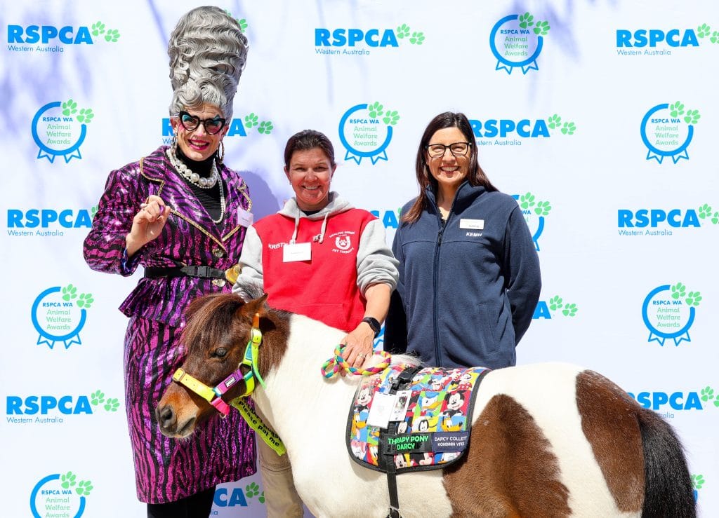 Nanna Bingo and Darcy the Therapy Pony at the 2025 Animal Welfare Awards
