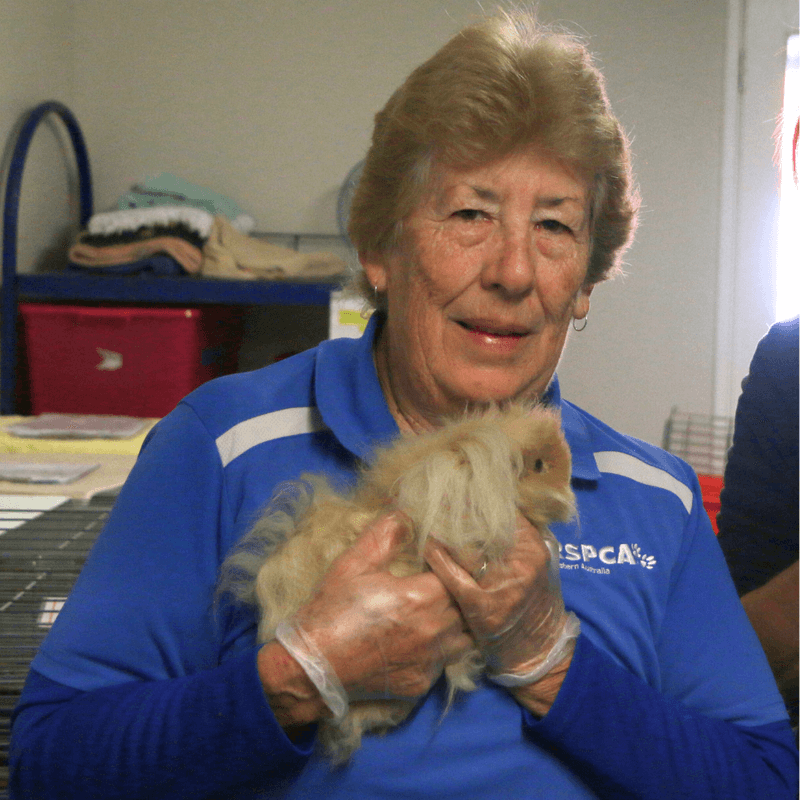 2025 AWA volunteer winner Cheryl Filmer - holding Guinea pig