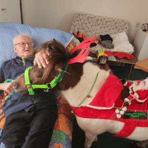 2025 AWA animal winner Darcy the therapy pony with patient
