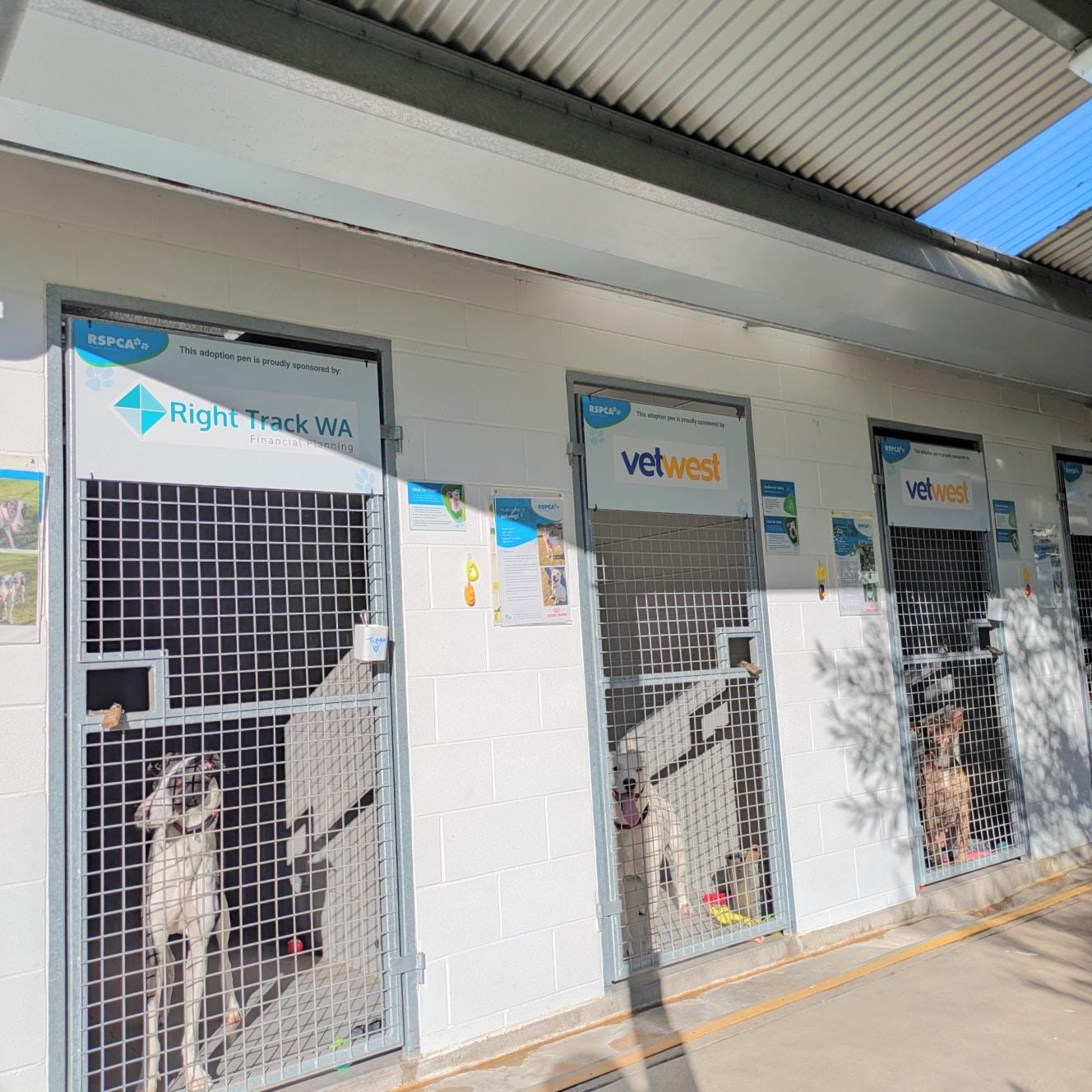 RSPCA WA Sponsored Dog Kennels