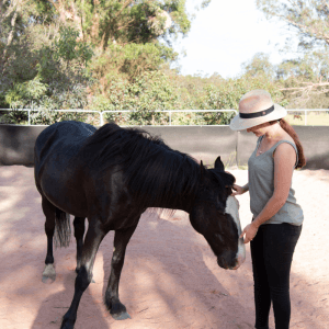 2025 AWA animal winner horse Mabel with client