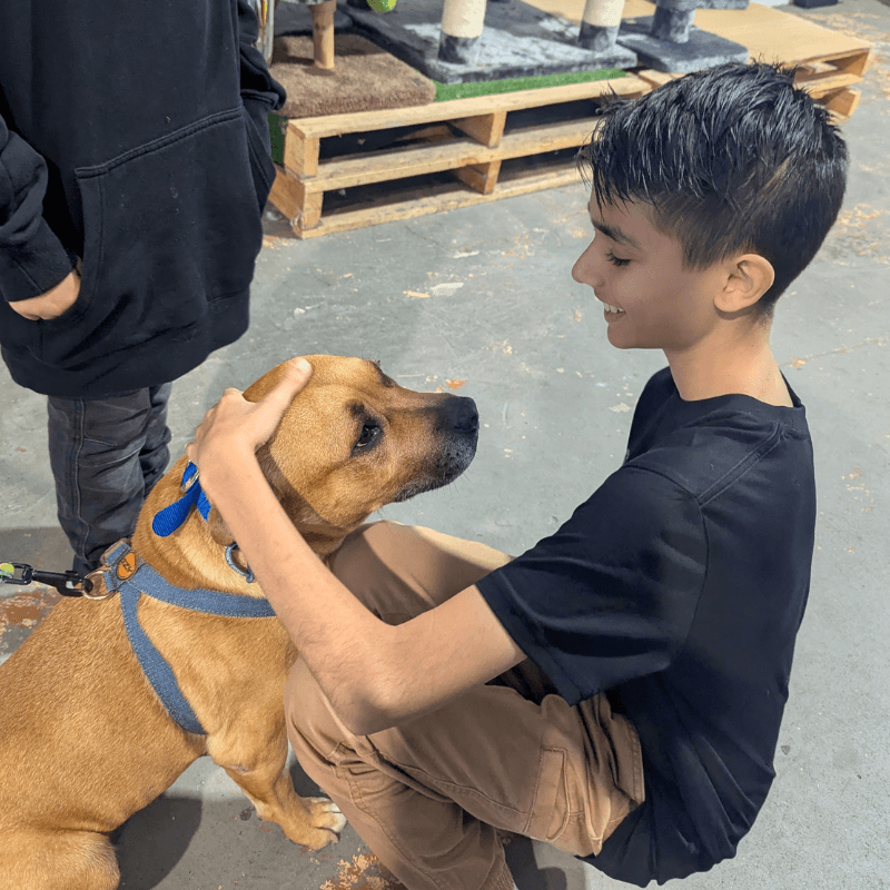 2025 AWA youth winner Hudson Alva patting dog