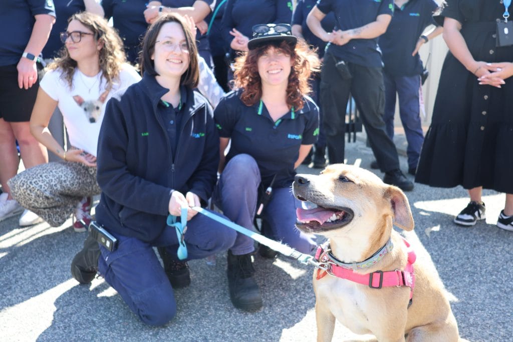Picture of dog Crunchie with staff on our annual Giving Day, Give to Get Them Home 2025