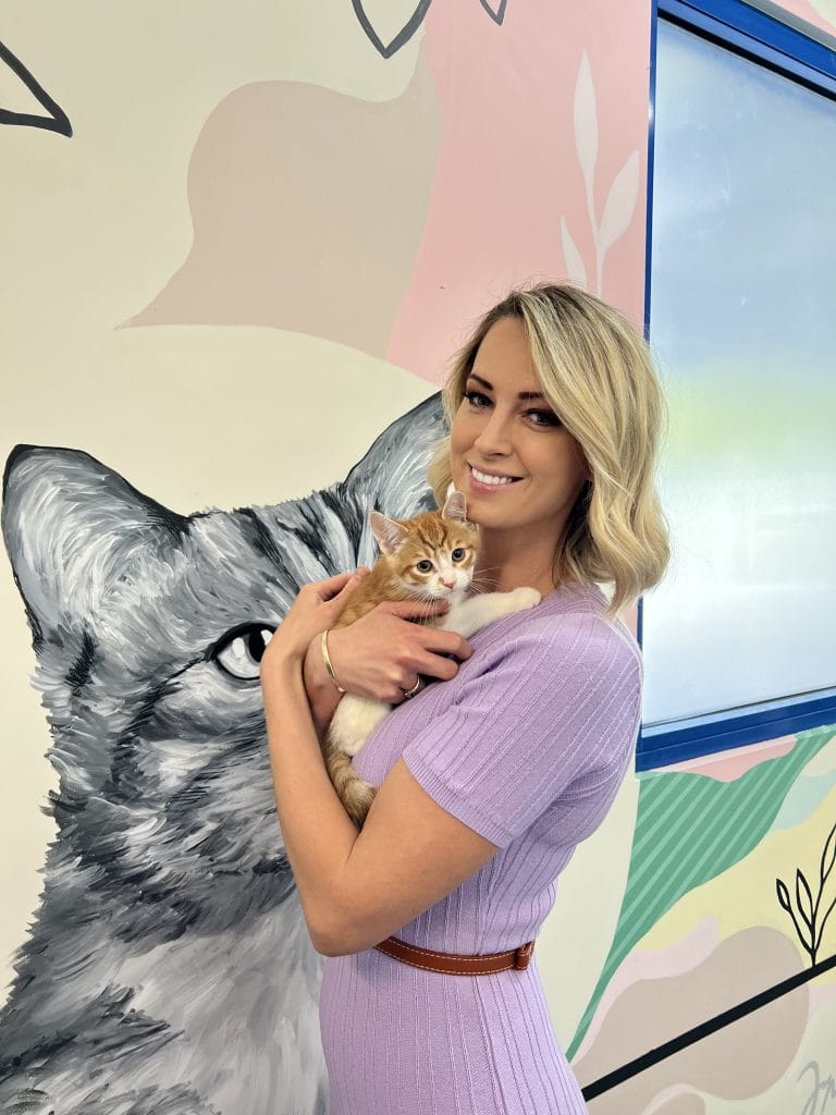 Kelly Haywood cuddling a Kitten at RSPCA WA