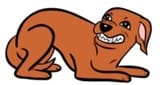 Scared dog animation