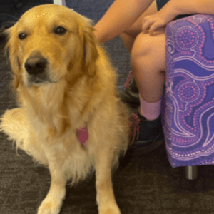 2025 AWA animal winner support dog Hanna