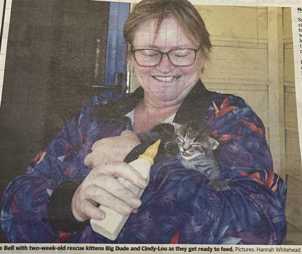 TLC kitty rescue AWA winner Community Action