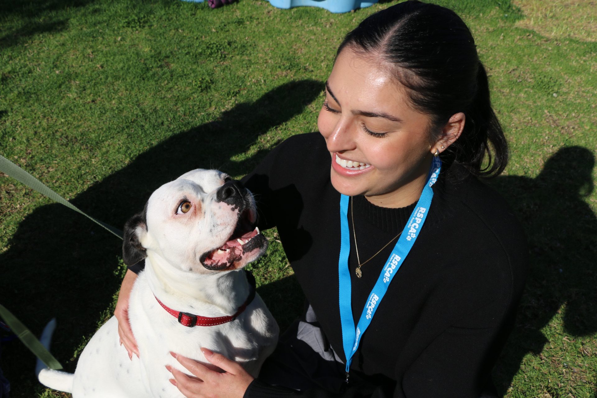 Volunteer intern interacting with dog