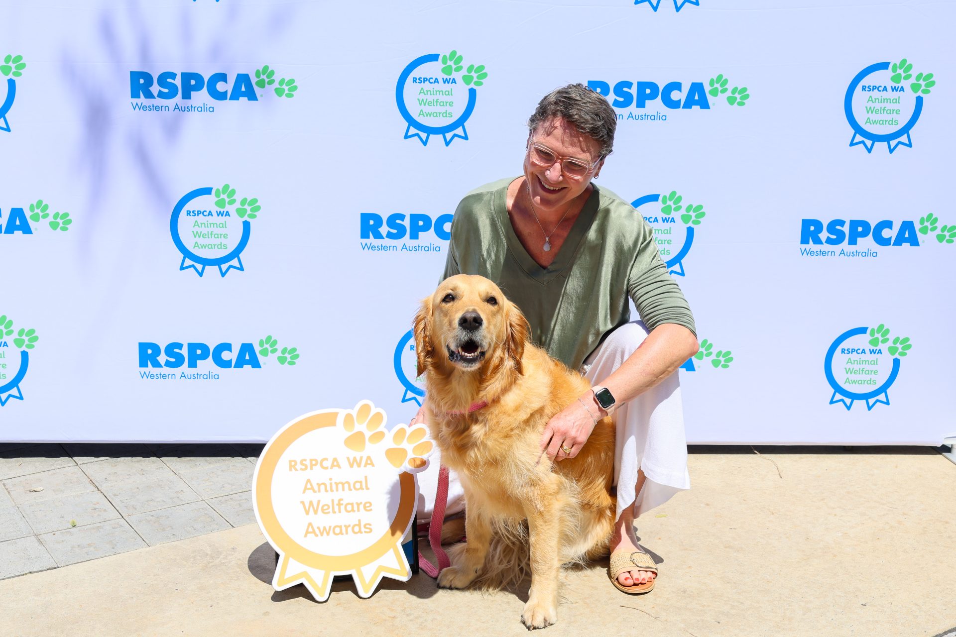 2025_Golden retriever award-winner at the RSPCA WA Animal Welfare Awards