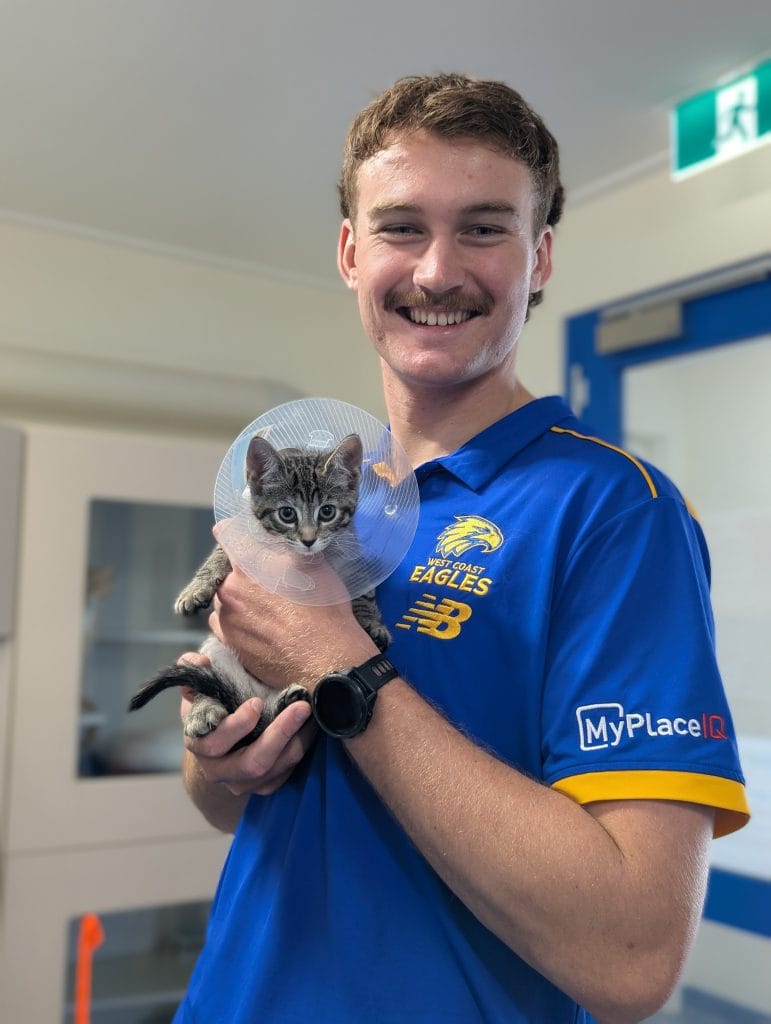 Ambassador Archer Reid holding small kitten Springbok