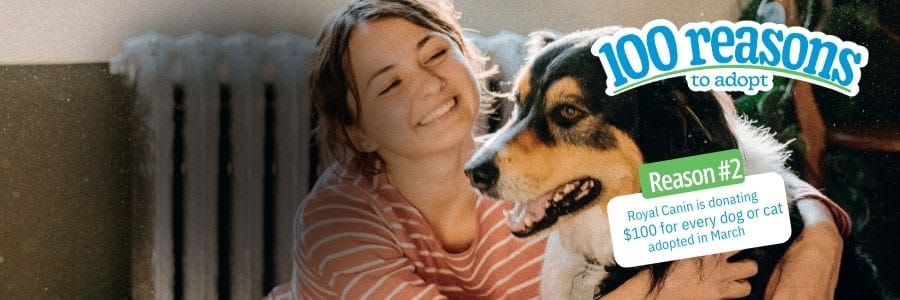 100 reasons to adopt a pet from the RSPCA in March