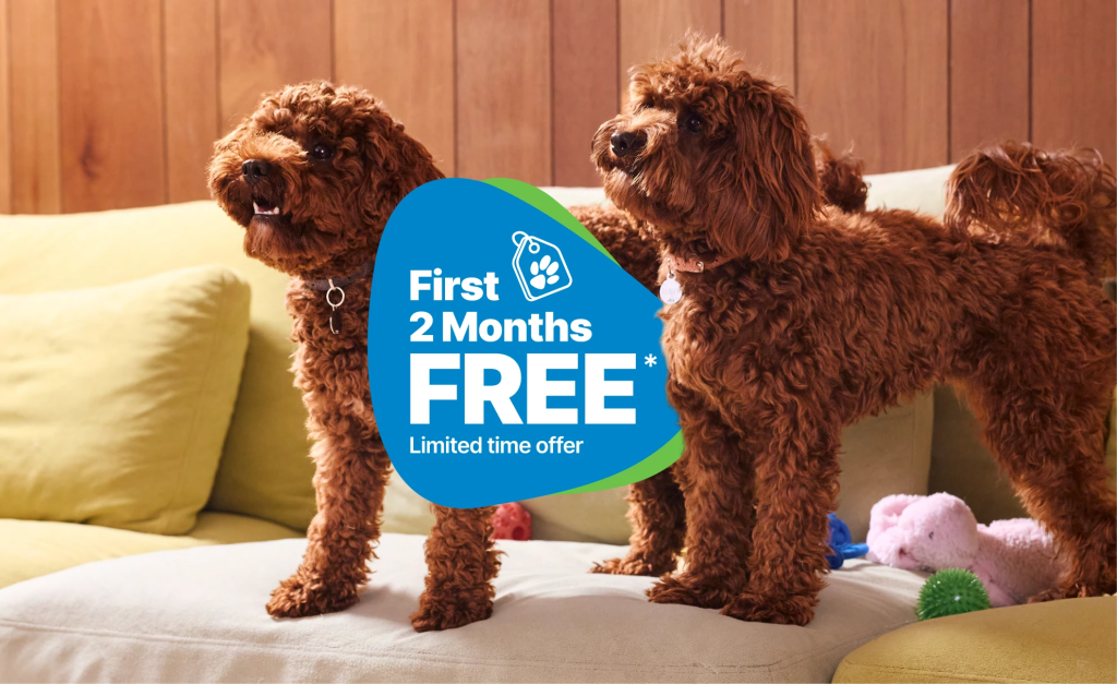 Pet Insurance Feature Image - Oct 2026