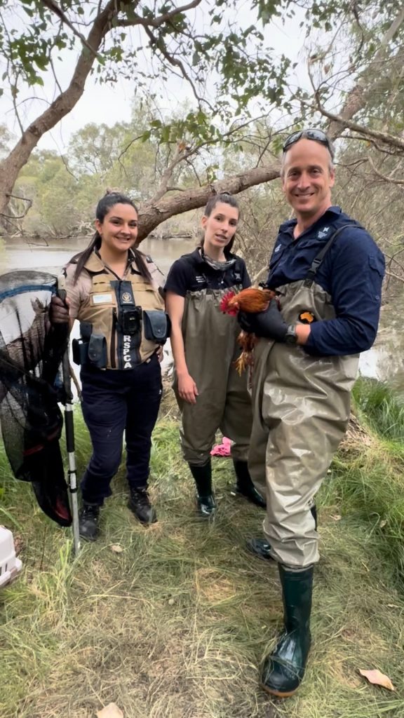 Inspector Bridie Creedy with Amie Gilles and Dr Peter Novak from DBCA rooster rescue