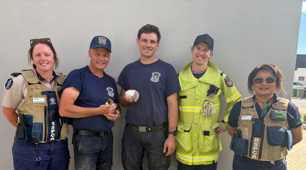 L-R-Trainee-Inspector-Amanda-McMinn-Station-Officer-Keith-McCarren-Firefighter-Blake-Pearce-Senior-Firefighter-Jonathan-Bolton-Animal-Welfare-Officer-Esabella-Chee