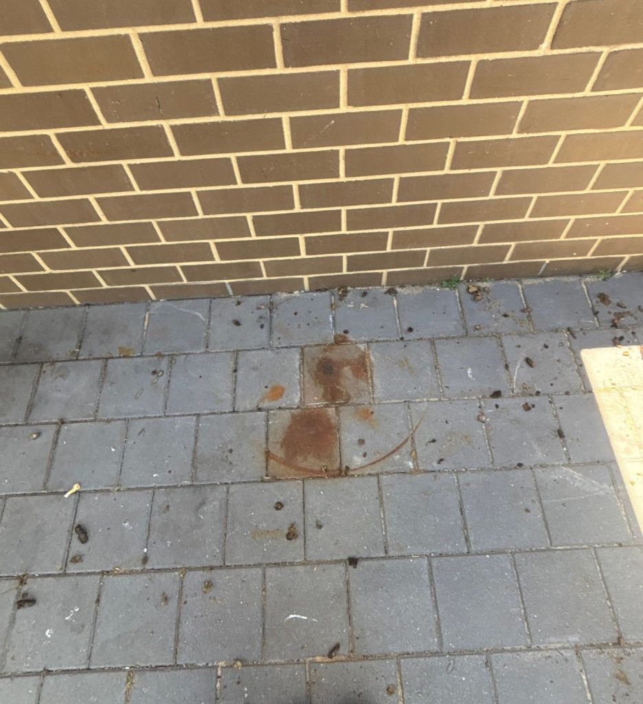 Larger-blood-stain-on-pavers-in-the-rear-yard-at-the-property