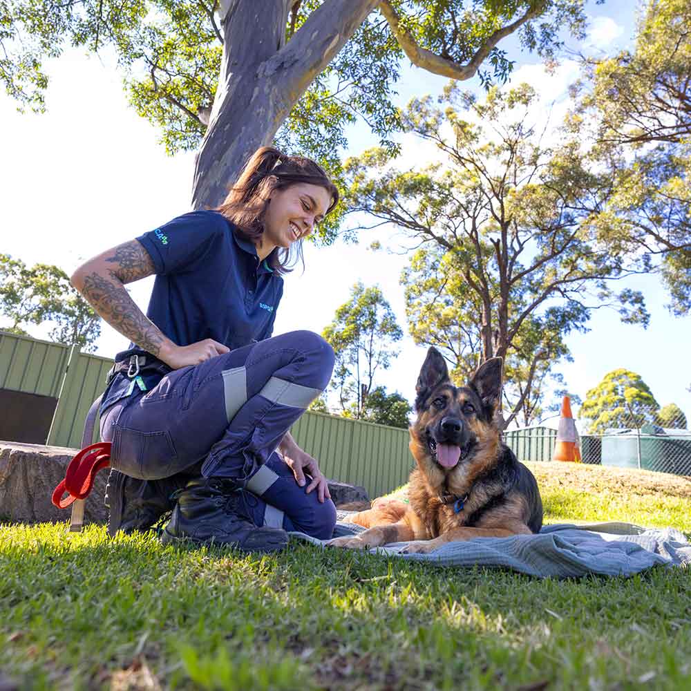 RSPCA Team Member Smiling at a Happy and Relaxed German Shepherd on the Grass. RSPCA Pet Insurance photo.