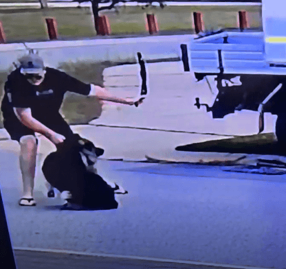 $10k fine for ill-treatment of German Shepherd in Baldivis CCTV footage screenshot