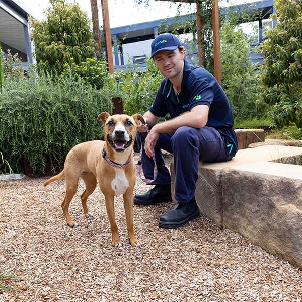 An RSPCA team member in uniform and a happy dog smile at the camera in an outdoor park