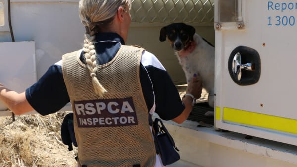 RSPCA Inspector - Broome
