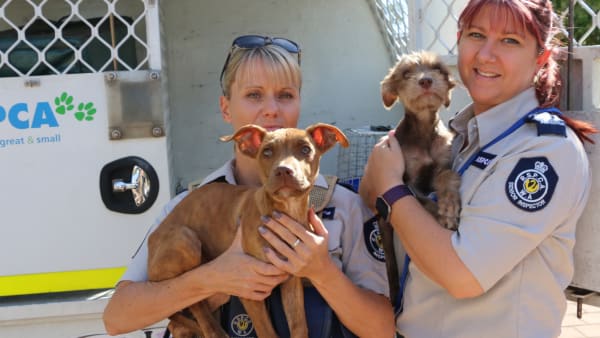 Join the RSPCA Rescue Team